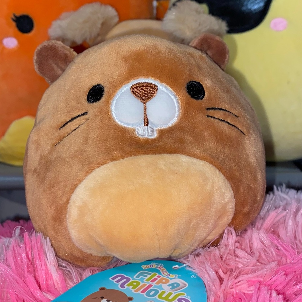 Squishmallows Flip 5” Chip Beaver & Rocky Racoon Flip-A-Mallow - Picture 7 of 9